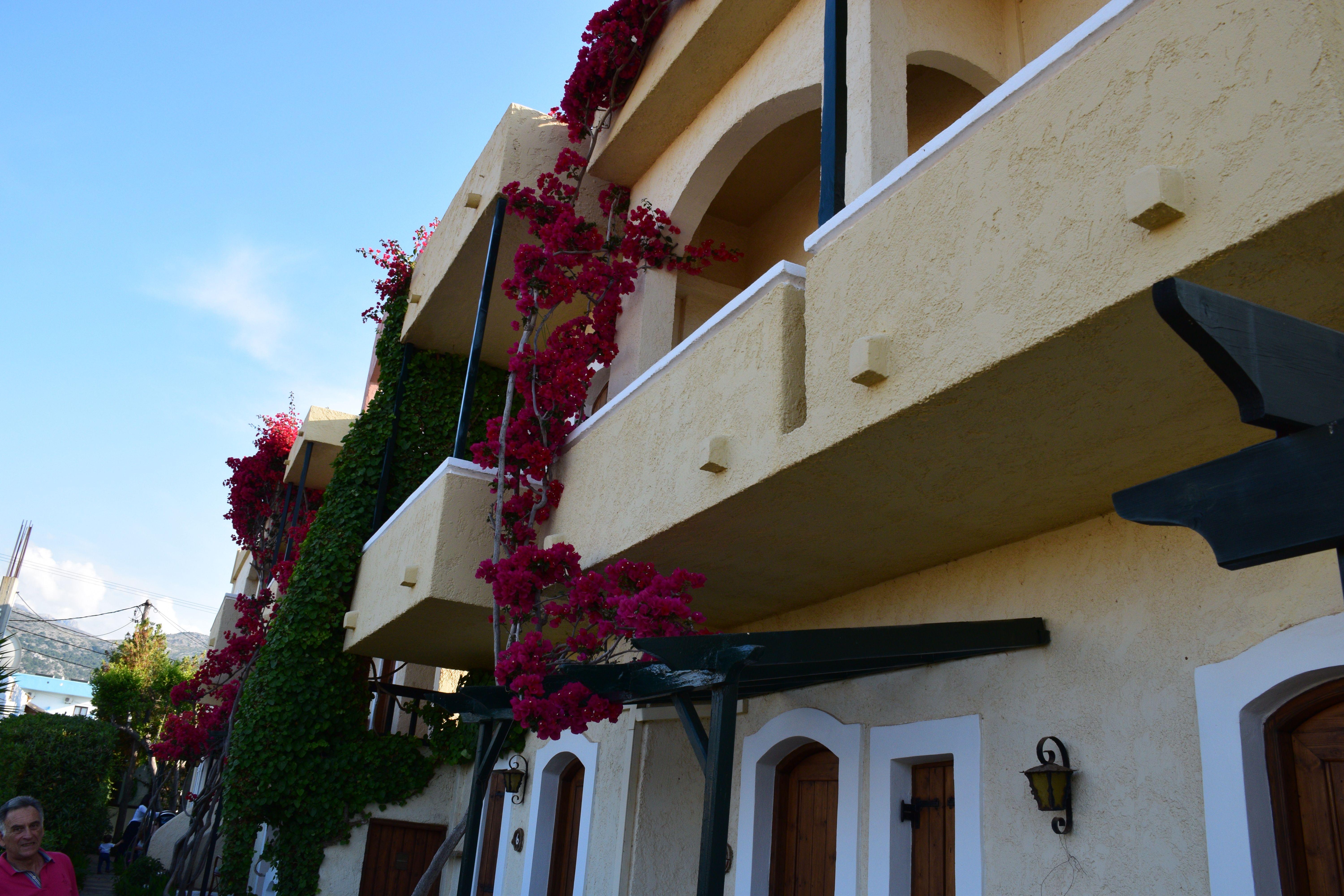 Mila Malia Studios Hotel المظهر الخارجي الصورة